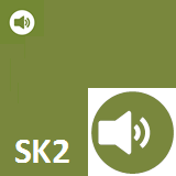 Schallschutztüren SSK2